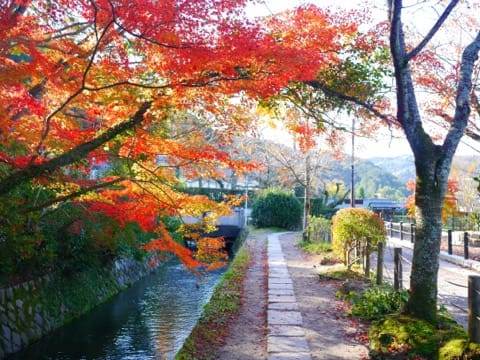 哲学の道
