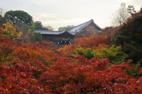 東福寺