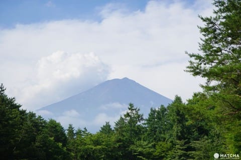 PICA Fujiyama