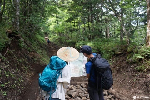 PICA Fujiyama