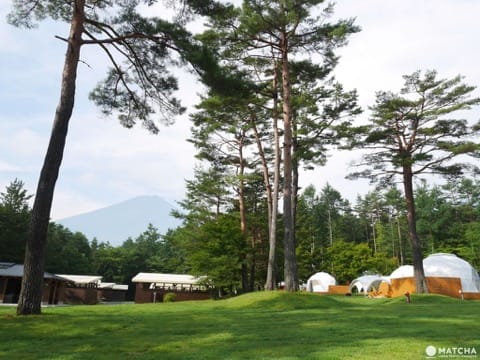 PICA Fujiyama