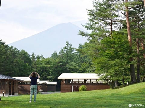 PICA Fujiyama