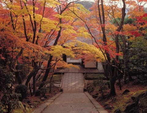 Autumn In Tokyo: Seasonal Activities, Weather And What To Wear