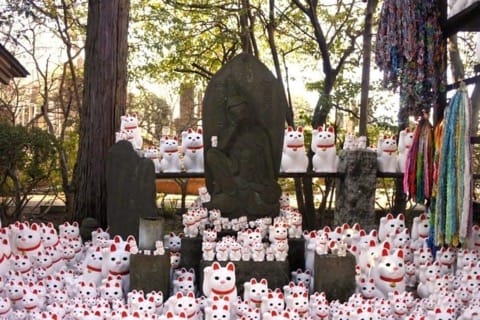 豪徳寺