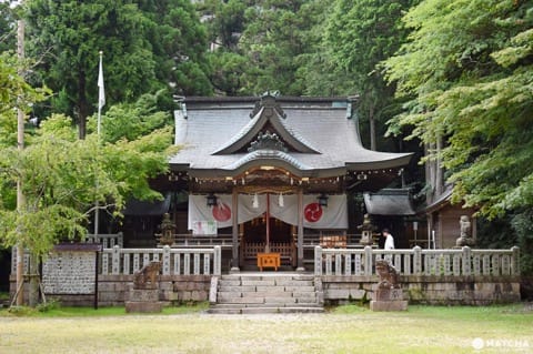 有馬