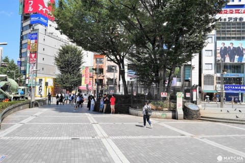 ライオン広場