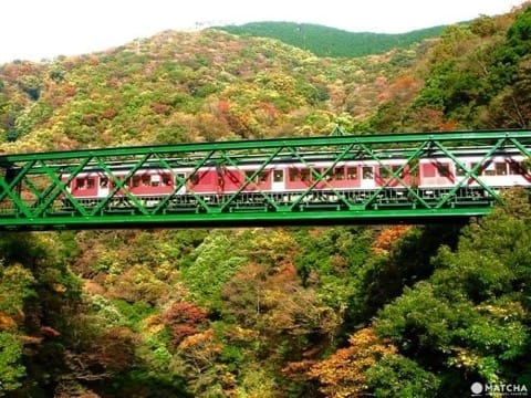 Menikmati Perjalanan Musim Gugur di Hakone selama 1 Hari