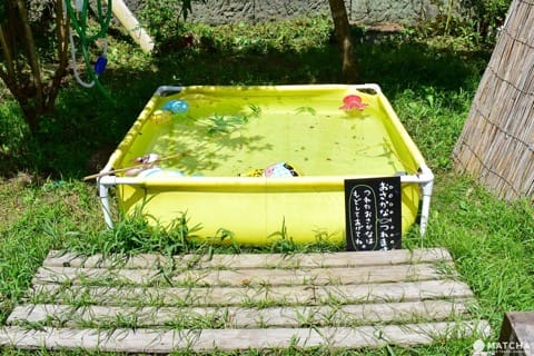 鹿児島きりん