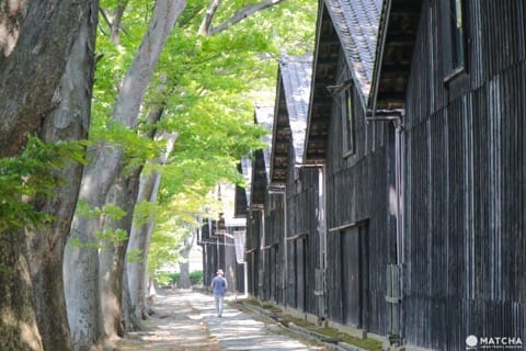 酒田コース