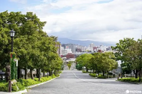 Beyond Hachiman-Zaka: 6 Scenic Slopes in Hakodate - Japan Travel