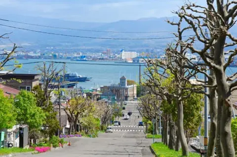 Beyond Hachiman-Zaka: 6 Scenic Slopes in Hakodate - Japan Travel