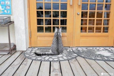 待ちねこ