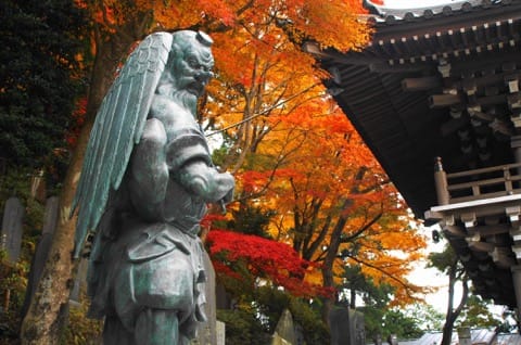 高尾山 賞楓 天狗