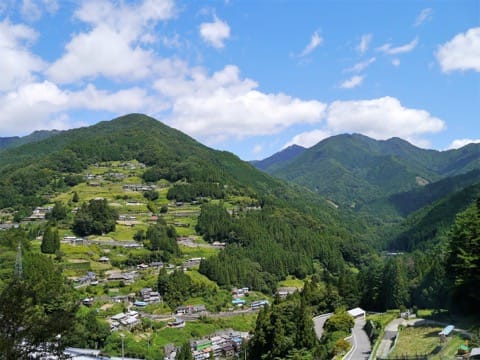 にし阿波_落合集落