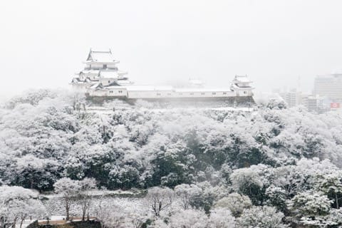 景色と歴史を楽しむ、和歌山城の散策ポイント6選