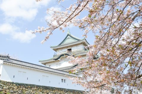 景色と歴史を楽しむ、和歌山城の散策ポイント6選