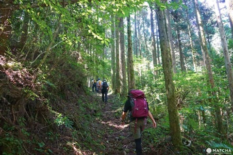 手ぶらでOK!九州の山々の自然を体感しよう ― 奥日田でのアウトドア3選