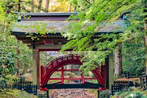 山形新潟モニターツアー