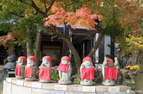 三重塔で名高い「須磨寺」は伝統と革新のワンダーランド!笑顔が生まれるお寺を楽しもう。