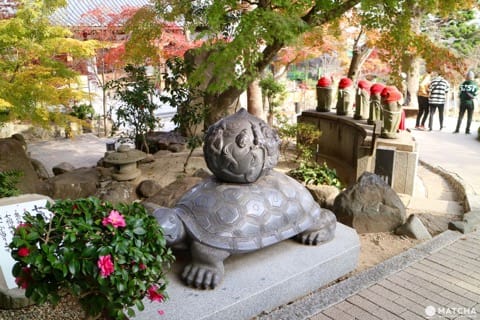 三重塔で名高い「須磨寺」は伝統と革新のワンダーランド!笑顔が生まれるお寺を楽しもう。
