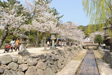宮島