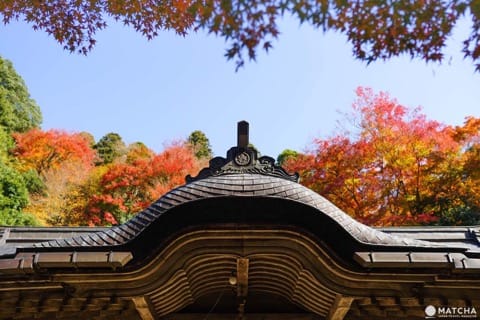 Top 6 Autumn Spots In Tottori - Colorful Nature Off The Beaten Path