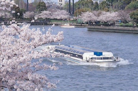 【2018年】必ず行きたい大阪桜スポット10選