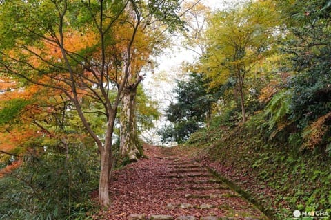 Top 6 Autumn Spots In Tottori - Colorful Nature Off The Beaten Path