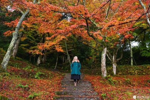 Top 6 Autumn Spots In Tottori - Colorful Nature Off The Beaten Path