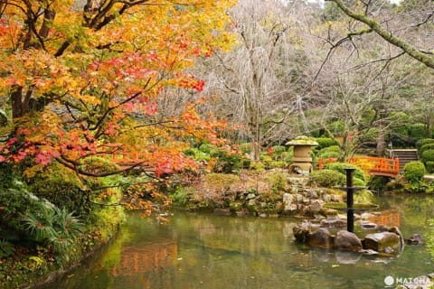 Top 6 Autumn Spots In Tottori - Colorful Nature Off The Beaten Path