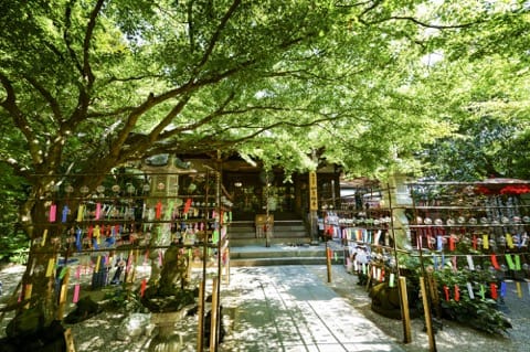 福岡デートスポット