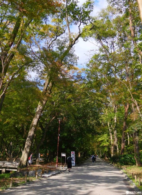 京都