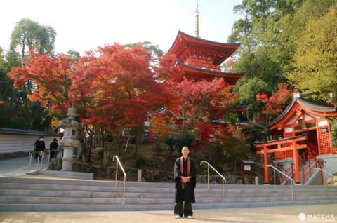 三重塔で名高い「須磨寺」は伝統と革新のワンダーランド!笑顔が生まれるお寺を楽しもう。