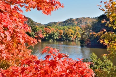 亀山湖 秋