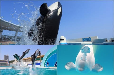 鴨川Sea World