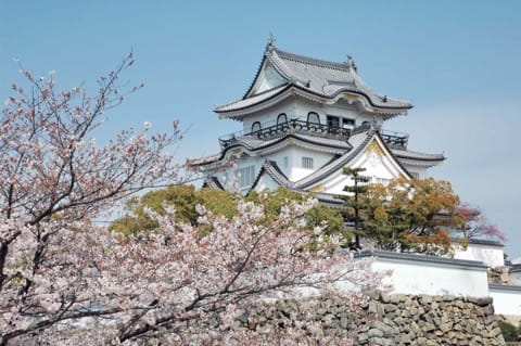 【2018年】必ず行きたい大阪桜スポット10選