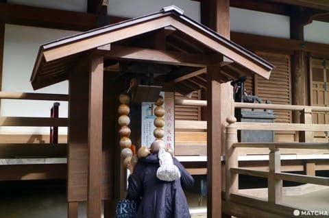 三重塔で名高い「須磨寺」は伝統と革新のワンダーランド!笑顔が生まれるお寺を楽しもう。