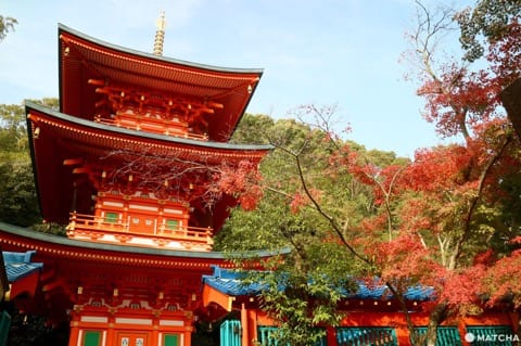 三重塔で名高い「須磨寺」は伝統と革新のワンダーランド!笑顔が生まれるお寺を楽しもう。