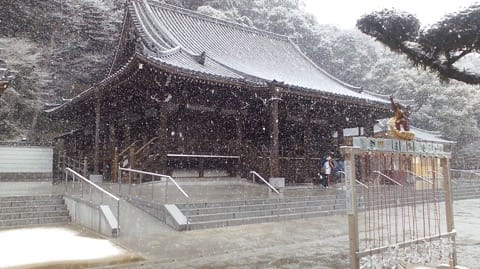 三重塔で名高い「須磨寺」は伝統と革新のワンダーランド!笑顔が生まれるお寺を楽しもう。