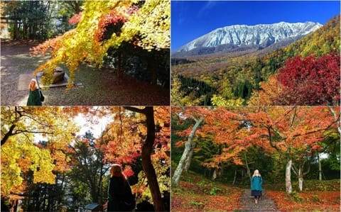 色彩豊かな自然を満喫!鳥取のオススメの紅葉スポット6選