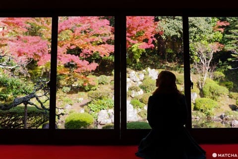 色彩豊かな自然を満喫!鳥取のオススメ紅葉スポット6選