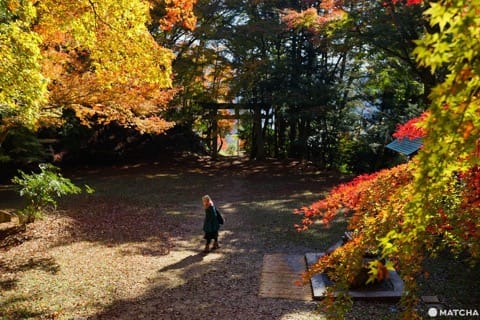 色彩豊かな自然を満喫!鳥取のオススメ紅葉スポット6選