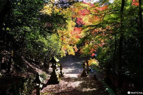 色彩豊かな自然を満喫!鳥取のオススメ紅葉スポット6選