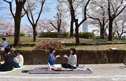 お花見