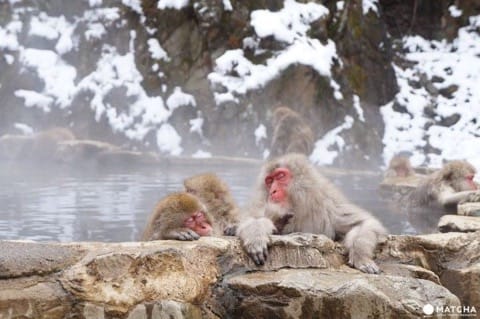 Visiting Japan In Winter 2018-2019: Temperatures, Clothing, Travel Tips