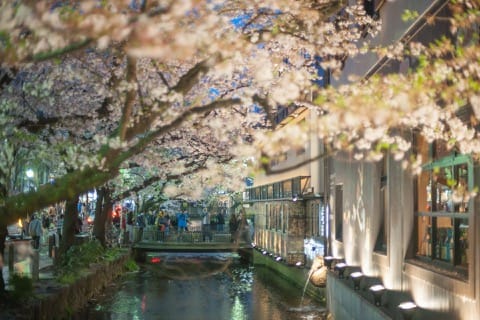 高瀬川