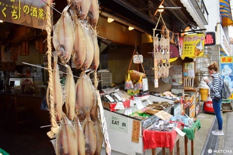 海の京都