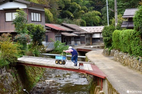 海の京都