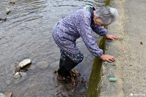 海の京都