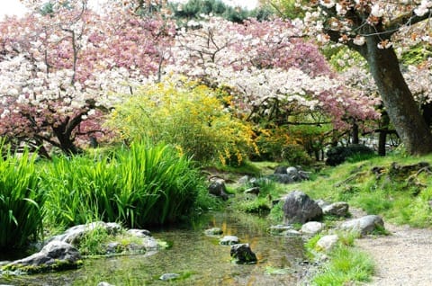 京都御苑